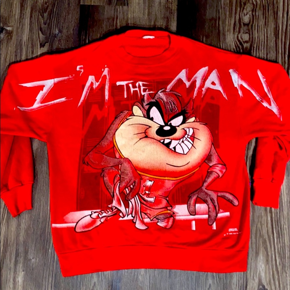 Looney Tunes Taz sweater VTG